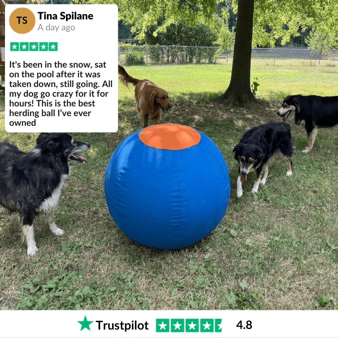 Original Valkyrie Herding Ball