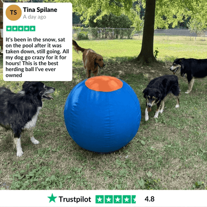Original Valkyrie Herding Ball