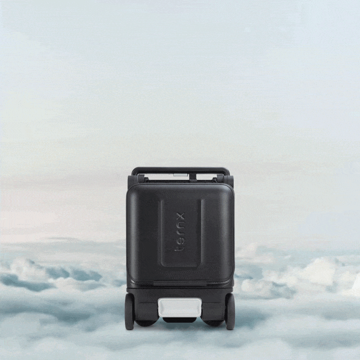 Carry-On Luggage Stroller