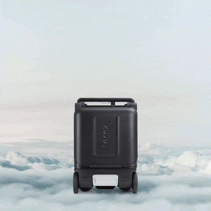 Carry-On Luggage Stroller