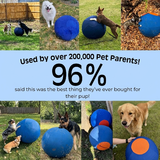 Original Valkyrie Herding Ball