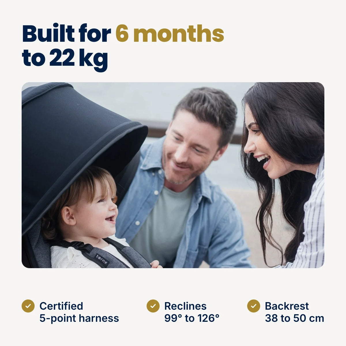 Carry-On Luggage Stroller
